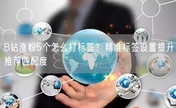 B站涨粉5个怎么打标签？精准标签设置提升推荐匹配度