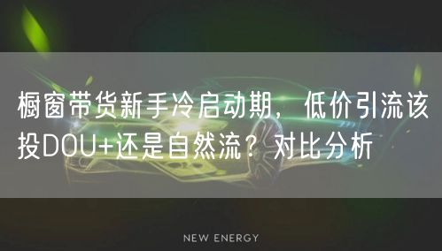 橱窗带货新手冷启动期，低价引流该投DOU+还是自然流？对比分析