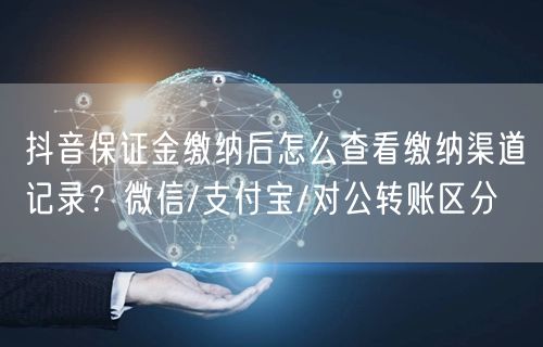 抖音保证金缴纳后怎么查看缴纳渠道记录?微信/支付宝/对公转账区分