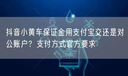 抖音小黄车保证金用支付宝交还是对公账户？支付方式官方要求