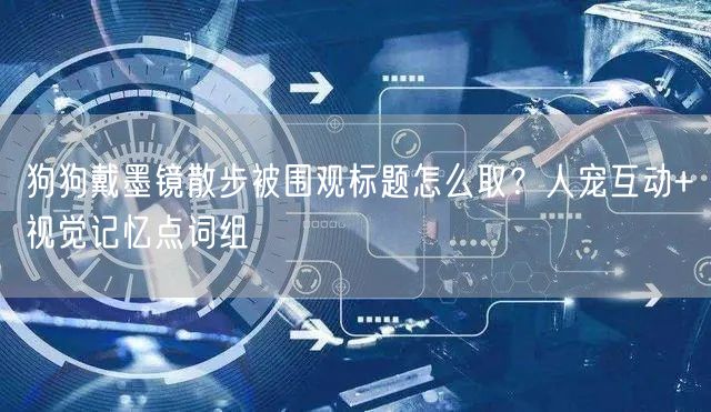 狗狗戴墨镜散步被围观标题怎么取？人宠互动+视觉记忆点词组