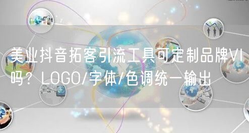 美业抖音拓客引流工具可定制品牌VI吗？LOGO/字体/色调统一输出