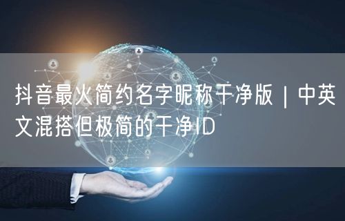 抖音最火简约名字昵称干净版|中英文混搭但极简的干净ID