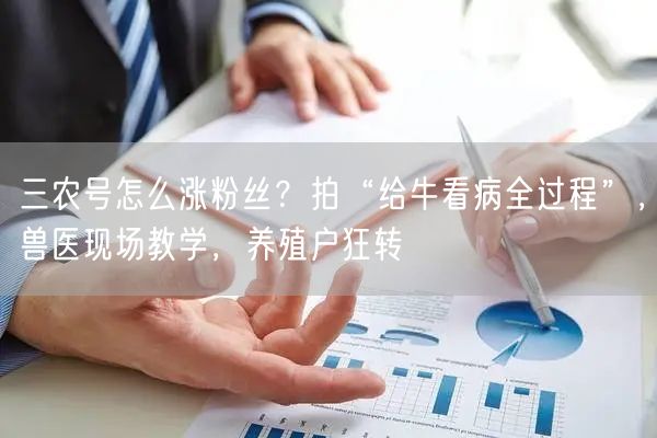 三农号怎么涨粉丝？拍“给牛看病全过程”，兽医现场教学，养殖户狂转