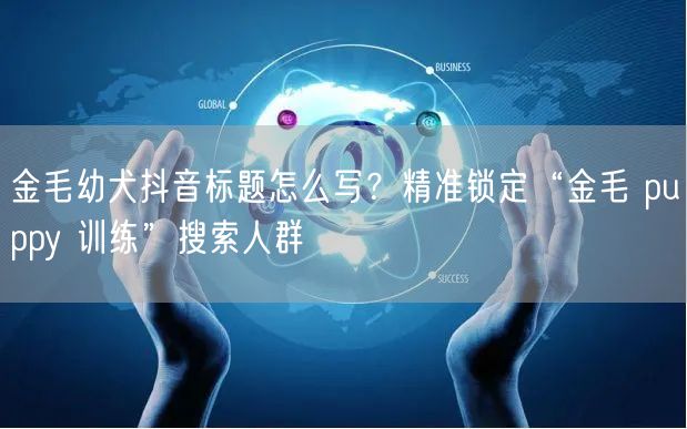 金毛幼犬抖音标题怎么写？精准锁定“金毛 puppy 训练”搜索人群