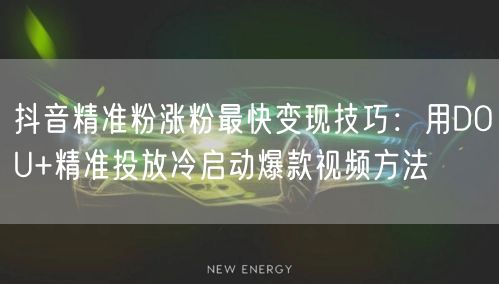 抖音精准粉涨粉最快变现技巧：用DOU+精准投放冷启动爆款视频方法