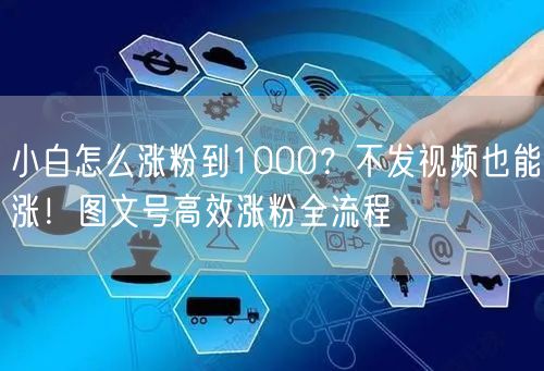 小白怎么涨粉到1000?不发视频也能涨!图文号高效涨粉全流程