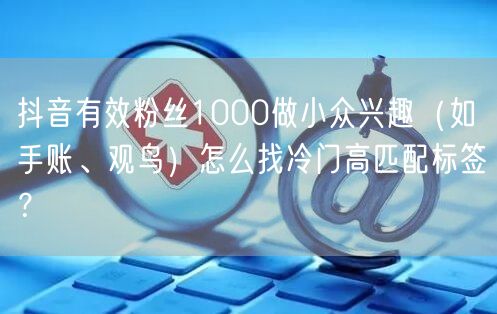 抖音有效粉丝1000做小众兴趣（如手账、观鸟）怎么找冷门高匹配标签？