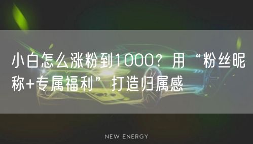 小白怎么涨粉到1000？用“粉丝昵称+专属福利”打造归属感