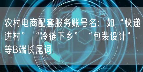 农村电商配套服务账号名:如“快递进村”“冷链下乡”“包装设计”等B端长尾词